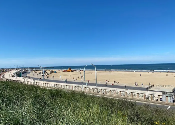 Basic Little House Scheveningen