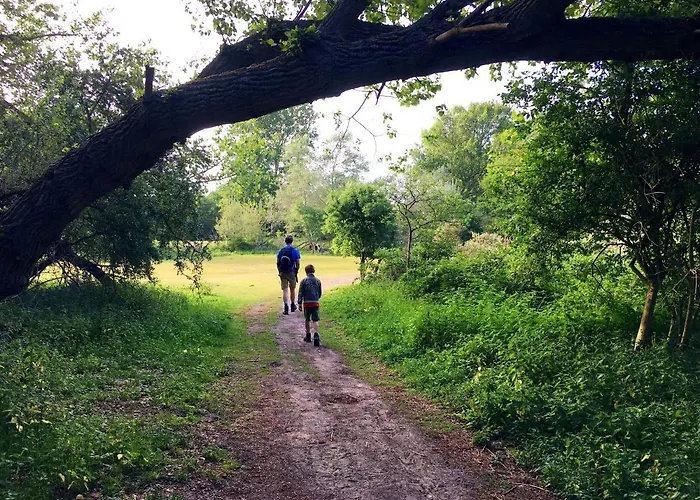 Basic Little House Scheveningen Apartman Hága