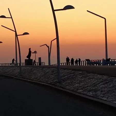 Basic Little House Scheveningen La Haye