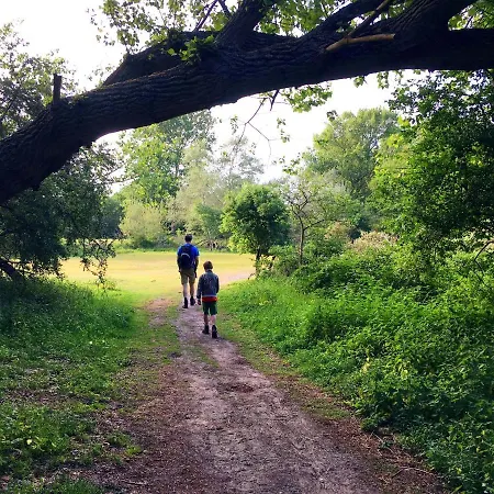 Basic Little House Scheveningen Apartment The Hague