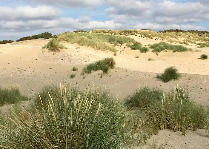 Апартаменты Basic Little House Scheveningen