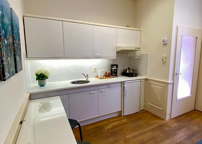 Basic Little House Scheveningen * Гаага